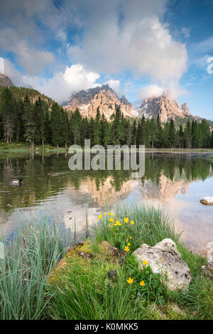 Misurina, Dolomiten, Venetien, Italien. Die Klippen von Cadini Gruppe werden im Lago d'Antorno wider Stockfoto