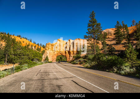 Am Highway 12 ist ein Torbogen, die Sie unter, die Teil von Butch Cassidy Zeichnen, das Teil von Dixie National Forest. Stockfoto