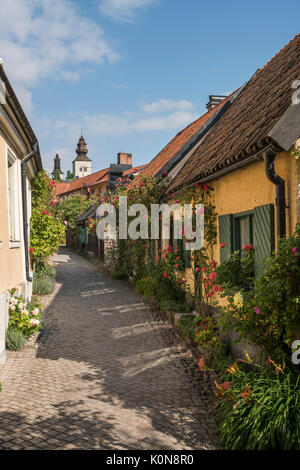 Rosen auf dem alten Gasse Fisherman's Alley (Fiskargrand). Visby, Gotland, Schweden, Skandinavien. Stockfoto