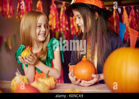 Kürbis als Symbol von Halloween Tradition Stockfoto