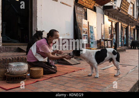 Eine Frau füttert einen streunenden Hund mit Reis aus der alms Preisverleihung in Luang Prabang, Laos links, wie die Angebote ist ein Teil der karmischen Überzeugungen Stockfoto