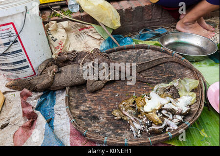 Monitor Eidechsen und Fröschen für den Verkauf am lokalen Markt in Luang Prabang, Laos. Stockfoto