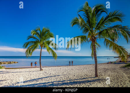 Palmen und Menschen auf sandigen Smathers Beach am Atlantischen Ozean in Key West Florida auf einem blauen Himmel Sommer Tag Stockfoto