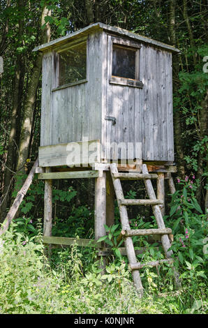 Holz- Hirsche stehen in einem Wald, vertikale Ansicht. Box stand, von Baum stehen. Geschlossene Plattform der Jäger für eine bessere Sicht zu erhöhen. Stockfoto