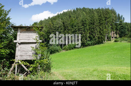 Holz- Hirsche stehen am Rand einer Wiese, horizontale Ansicht. Baum oder Box stehen. Geschlossenen Plattform. Erhebt die Jäger für bessere Sicht. Stockfoto