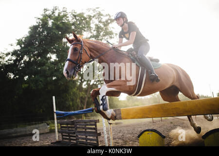 Junge weibliche Jockey auf dem Pferd springen über Hürde Stockfoto