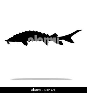 Stör Fisch schwarze Silhouette Aquatic Animal. Vektor Illustrator. Stock Vektor