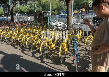 Ein Mann Kontrollen APP mit seinem Handy vor der Einstellung eines gemeinsam genutzten Fahrrad in Peking, China. 23-Aug-2017 Stockfoto