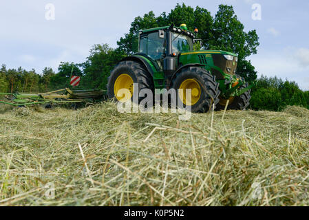 Polen, Juchowo, organische Milch Kuh Bauernhof, Verarbeitung von Heu mit John Deere Traktor/POLEN, Juchowo, biologisch wirtschaftender Milchviehbetrieb, Heu Ernte und Trocknung mit John Deere Traktor Stockfoto