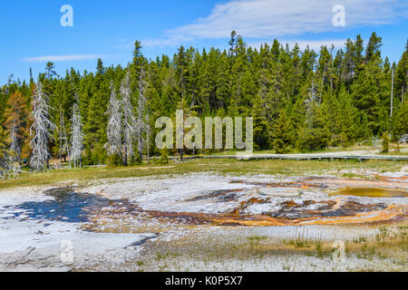 Geysire in Upper Geyser Basin, Sägewerk Gruppe. Yellowstone National Park, USA Stockfoto