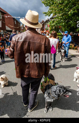 Die Hunde bei der jährlichen South Street Sport Tag und Hund zeigen, Lewes, East Sussex, UK beurteilt Stockfoto