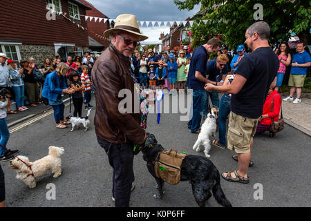 Die Hunde bei der jährlichen South Street Sport Tag und Hund zeigen, Lewes, East Sussex, UK beurteilt Stockfoto