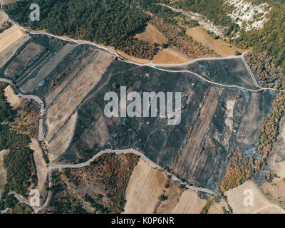 Brandstiftung:, Masse durch die waldbrandschäden verbrannt, verbranntes Feld in Reggio Emilia Hügel, Vedriano, Trinità Stockfoto