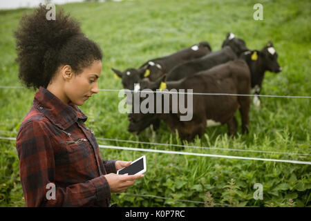 Frau Bauer mit digitalen Tablette im Feld Stockfoto