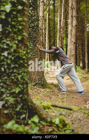 Seitenansicht des Menschen Wahrnehmung durch Baum im Wald Stockfoto