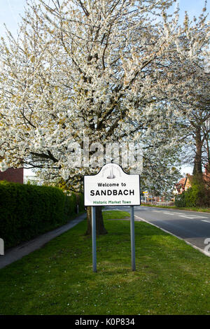 Wegweiser: Willkommen in Sandbach, der historischen Cheshire Markt der Stadt, mit einem Back Drop von spring blossom auf Bäumen Stockfoto