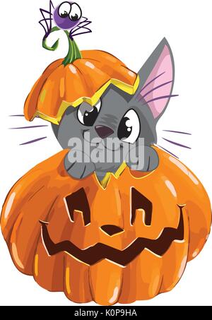 Vektor Löwenzahn mit Libelle, Löwenzahn Marmelade, Marienkäfern und Labels im Vintage Style. Stock Vektor