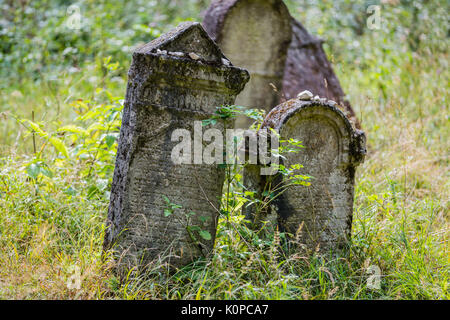 Der alte jüdische Friedhof oberhalb des Dorfes Dobra Voda, Slowakei aufgegeben. Stockfoto