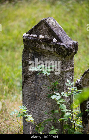 Der alte jüdische Friedhof oberhalb des Dorfes Dobra Voda, Slowakei aufgegeben. Stockfoto