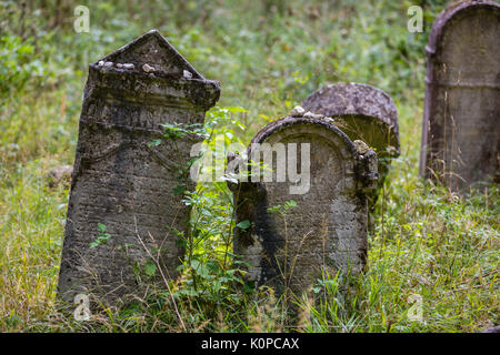 Der alte jüdische Friedhof oberhalb des Dorfes Dobra Voda, Slowakei aufgegeben. Stockfoto