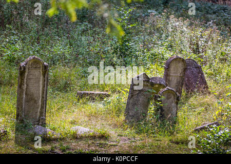 Der alte jüdische Friedhof oberhalb des Dorfes Dobra Voda, Slowakei aufgegeben. Stockfoto