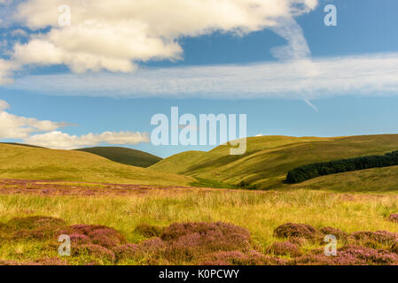 Malerische Aussicht auf die schöne Natur des Cairgorms National Park in Schottland im Sommer Stockfoto