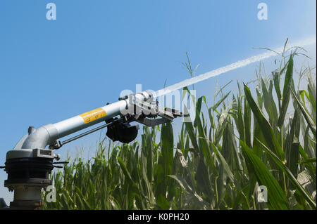 Landwirtschaftliche Geräte. Ausrüstung, die Wasserpumpen im Kornfeld. Wasser sprinkler Stockfoto