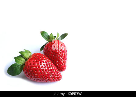 Zwei helle rote Farbe Frische reife Erdbeere Früchte isoliert auf weißem Hintergrund, mit Freiraum für Text und Gestaltung Stockfoto