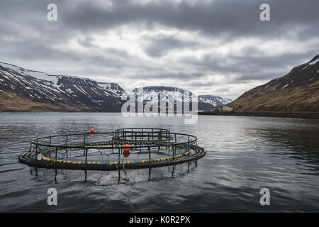 Dramatische Wolken über Sudureyri Fischzucht in Sugandafjordur Westfjorde Island Stockfoto