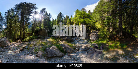Panoramablick auf den Wald von bucegi auf Sommer Berg, Teil der Karpaten von Rumänien Stockfoto