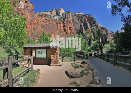 Zion National Park in Utah USA Stockfoto