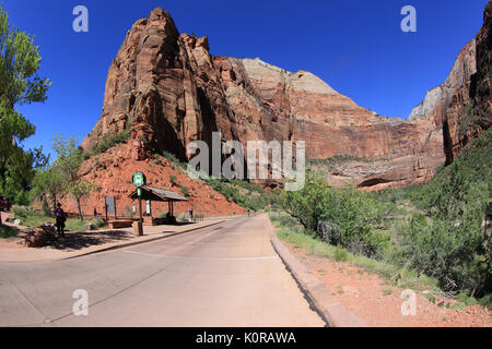 Zion National Park in Utah USA Stockfoto