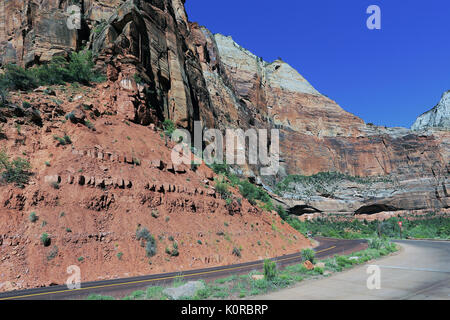 Zion National Park in Utah USA Stockfoto