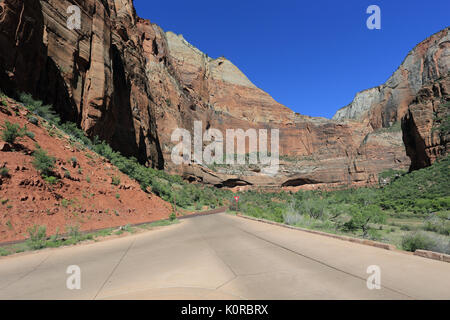 Zion National Park in Utah USA Stockfoto