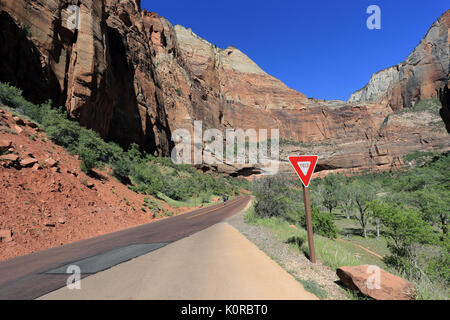 Zion National Park in Utah USA Stockfoto