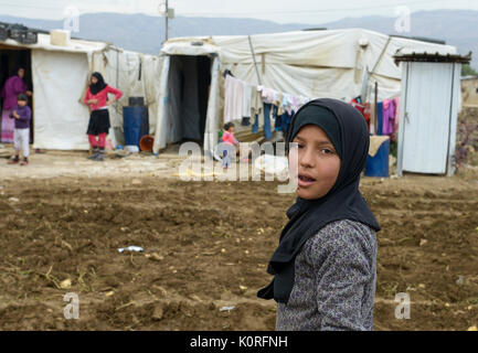 Libanon Baalbek in der Beqaa Tal, syrische Flüchtlinge in Zelten auf Ackerland/LIBANON Baalbek in der Bekaa-ebene Ebene, syrische Fluechtlinge in Zelten auf einer Farm Stockfoto