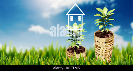 Grass wachsen im freien gegen blauen Himmel Stockfoto