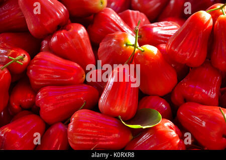 Rose Äpfel sind meist gegessen-von-Hand durch Kinder. Stockfoto