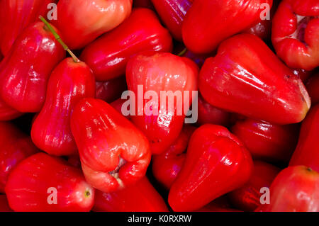 Rose Äpfel sind meist gegessen-von-Hand durch Kinder. Stockfoto