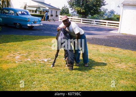 Portrait einer afrikanischen amerikanischen Mann mit einer jungen Schwarzen gezügelten Pferd in einem grasbewachsenen Innenhof Posing, Juni, 1959. Ein blaues Auto in der Einfahrt hinter ihm geparkt. Im Hintergrund, einem anderen afrikanischen amerikanischen Mann fegt Blätter außerhalb einer schalbrett Haus. Stockfoto