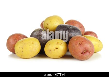 Stapel der farbenfrohen frische kleine Kartoffeln über einen weißen Hintergrund Stockfoto