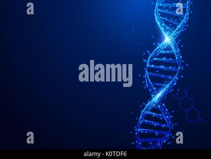 Drahtmodell DNA-Moleküle Struktur mesh von einem Sternenhimmel auf blauem Hintergrund. Wissenschaft und Technologie Konzept Stock Vektor