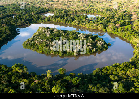 Eine Insel in einer Bucht im Pantanal, dient als für Wasservögel roost Stockfoto