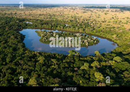 Eine Insel in einer Bucht im Pantanal, dient als für Wasservögel roost Stockfoto