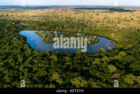 Eine Insel in einer Bucht im Pantanal, dient als für Wasservögel roost Stockfoto