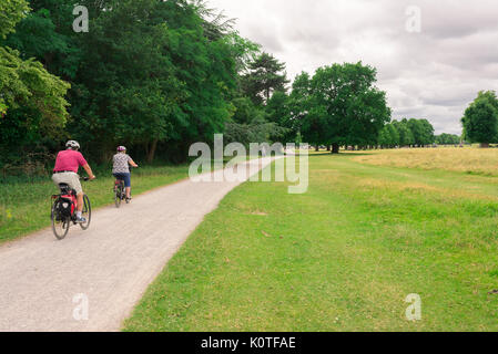 Richmond, London, UK - Juli 2017: Zwei Leute radfahren auf einem Pfad in Bushy Park, Richmond, London. Stockfoto