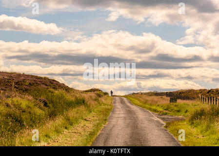 Malerische Aussicht auf die schöne Natur des Cairgorms National Park in Schottland im Sommer mit einem Mann auf dem Fahrrad am Horizont. Stockfoto