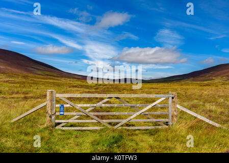 Malerische Aussicht auf die schöne Natur des Cairgorms National Park in Schottland im Sommer Stockfoto