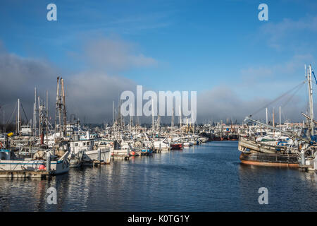 Die Fischer des Terminal, Hafens von Seattle, Washington Stockfoto