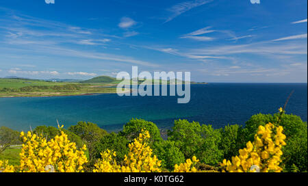 Panoramablick auf die Küstenlandschaft mit Emerald Felder & goldene Blumen der Ginster auf der Insel Bute, mit Bergen von Festland Schottland über Blue Ocean Stockfoto